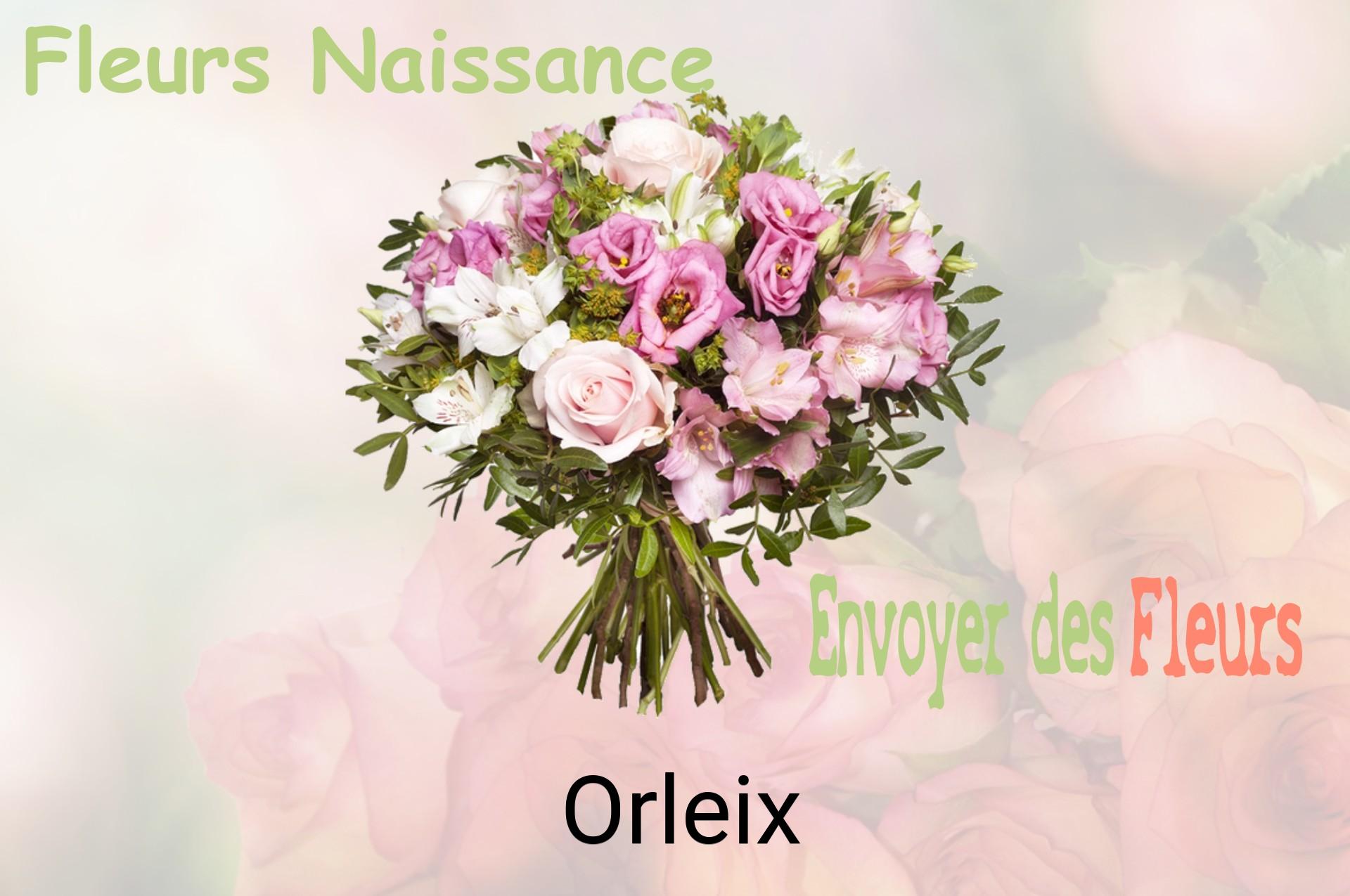 Bouquet de fleurs de naissance livré à Orleix