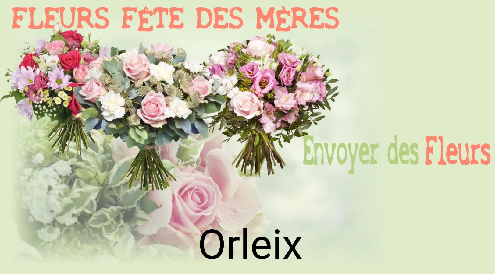Bouquet de Fête des Mères livré à Orleix